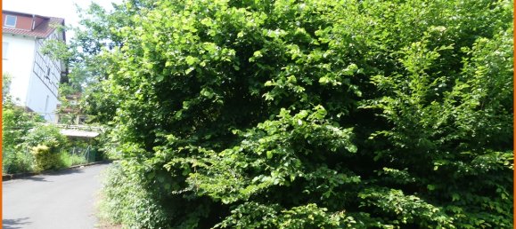 766m² Land in Main-Kinzig, Germany No. 147450 4