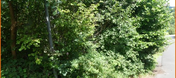 766m² Land in Main-Kinzig, Germany No. 147450 3