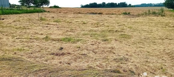 Земельный участок 1610м² в Иномон, Франция № 262068 2