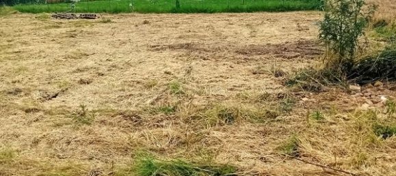 Земельный участок 1610м² в Иномон, Франция № 262068 4