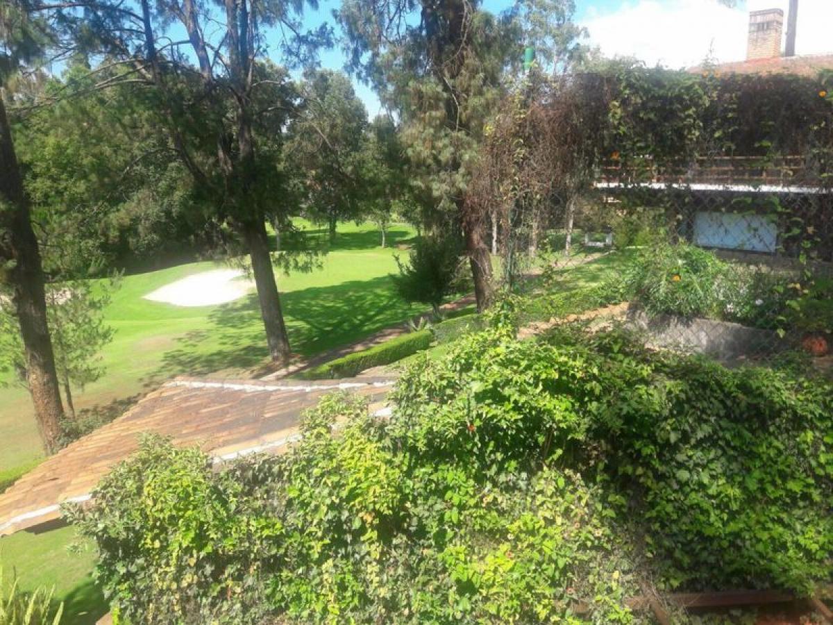 Terrain à Heroica Matamoros, Mexico No. 205711