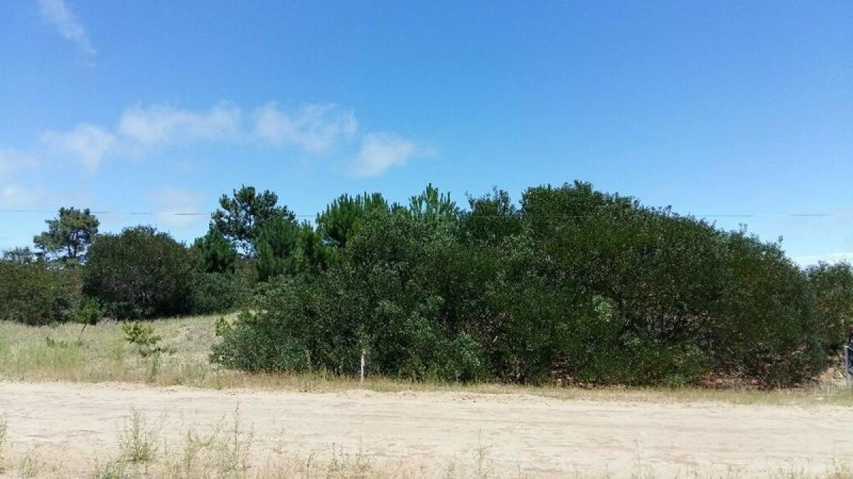 Terreno em Mar del Plata, Argentina N.º 120175