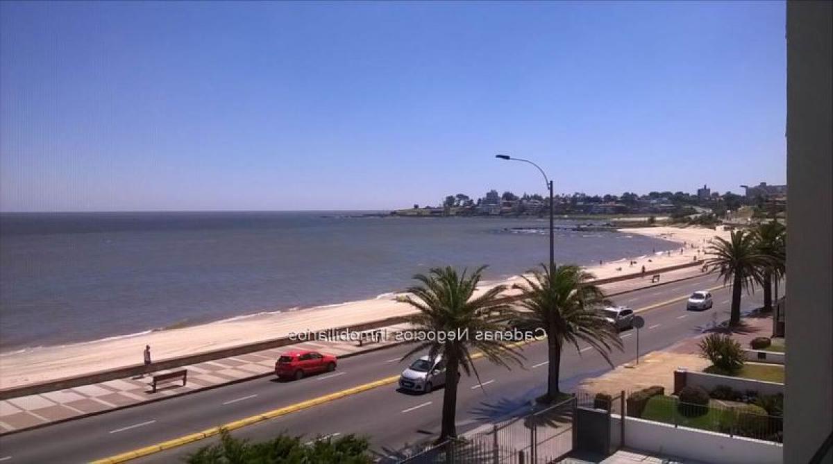 Edifício em Montevideo, Uruguay N.º 16360