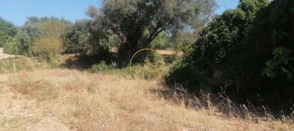 445m² Land in Loule, Portugal No. 216735 3
