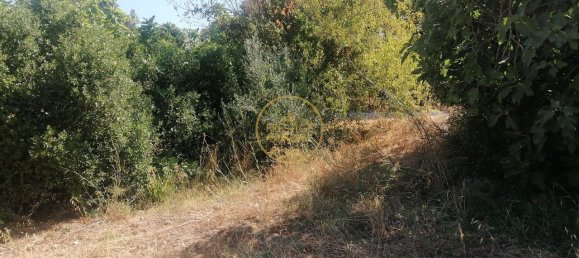 445m² Land in Loule, Portugal No. 216735 8