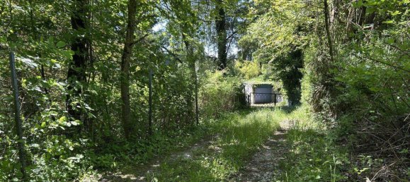 Terreno en Buchkirchen, Austria 4052 m² No. 166329 9