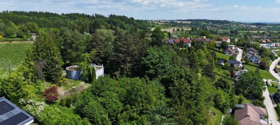 Terreno en Buchkirchen, Austria 4052 m² No. 166329 6