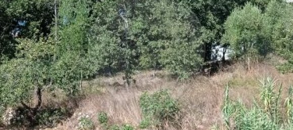 2 bedrooms House in Ansiao, Portugal No. 21943 8