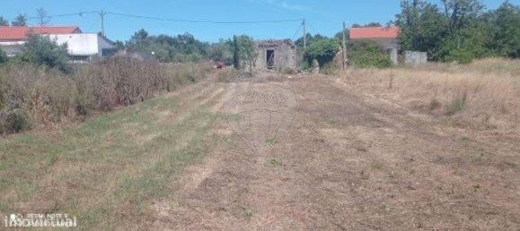 2 bedrooms House in Ansiao, Portugal No. 21943 4