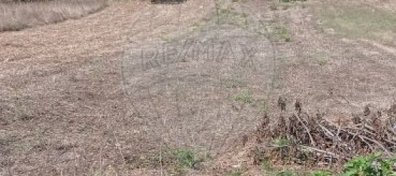 2 bedrooms House in Ansiao, Portugal No. 21943 7