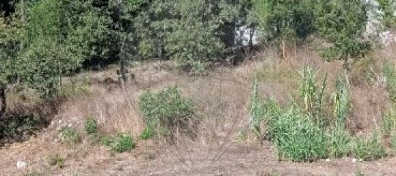 2 bedrooms House in Ansiao, Portugal No. 21943 9