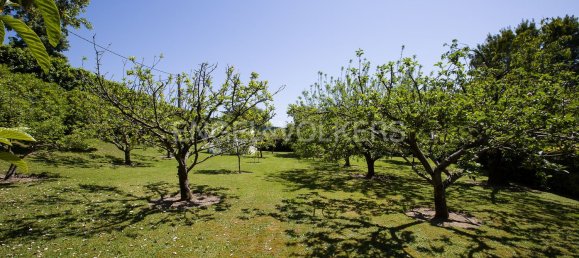 5 bedrooms House in Basque Autonomous Community, Spain No. 148973 41