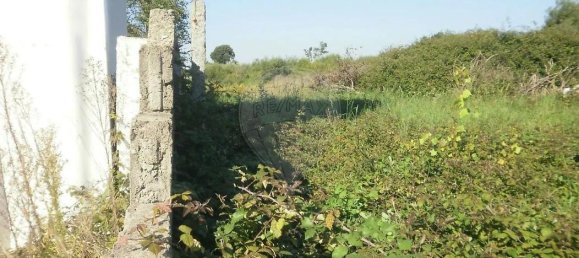 Grundstück in Vila Nova de Gaia, Portugal, Nr. 224551 5