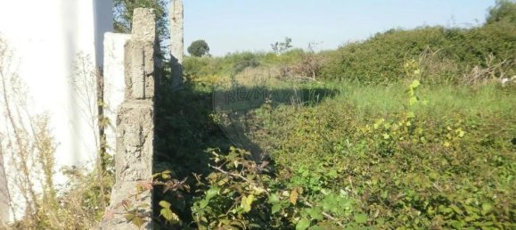 Grundstück in Vila Nova de Gaia, Portugal, Nr. 224551 15