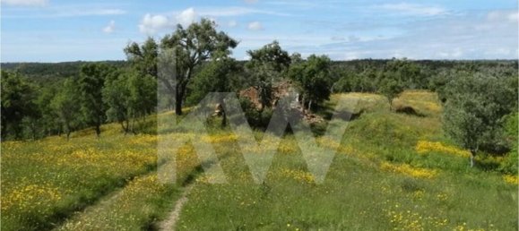 54250m² Land in Santiago do Cacem, Portugal No. 59895 3