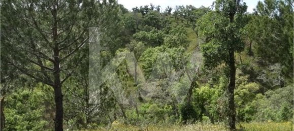 54250m² Land in Santiago do Cacem, Portugal No. 59895 9