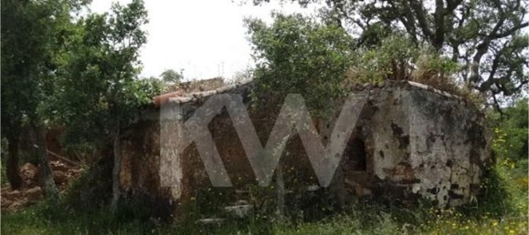 54250m² Land in Santiago do Cacem, Portugal No. 59895 17