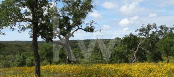 54250m² Land in Santiago do Cacem, Portugal No. 59895 16