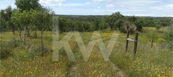 54250m² Land in Santiago do Cacem, Portugal No. 59895 11