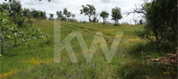 54250m² Land in Santiago do Cacem, Portugal No. 59895 12