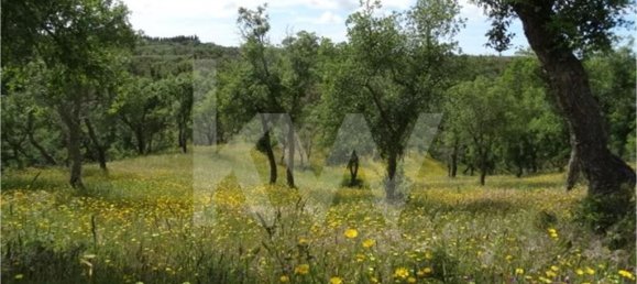 54250m² Land in Santiago do Cacem, Portugal No. 59895 13