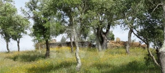 54250m² Land in Santiago do Cacem, Portugal No. 59895 2