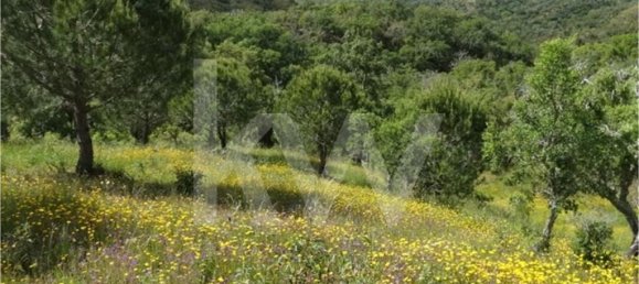 54250m² Land in Santiago do Cacem, Portugal No. 59895 8