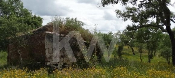 54250m² Land in Santiago do Cacem, Portugal No. 59895 19