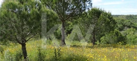 54250m² Land in Santiago do Cacem, Portugal No. 59895 15