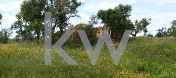 54250m² Land in Santiago do Cacem, Portugal No. 59895 7