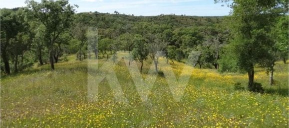 54250m² Land in Santiago do Cacem, Portugal No. 59895 14