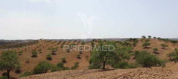 3 غرف نوم قطعة أرض في Azinhal, Portugal رقم 135541 24