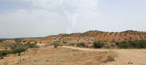 3 غرف نوم قطعة أرض في Azinhal, Portugal رقم 135541 18