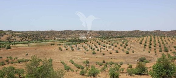 3 غرف نوم قطعة أرض في Azinhal, Portugal رقم 135541 22