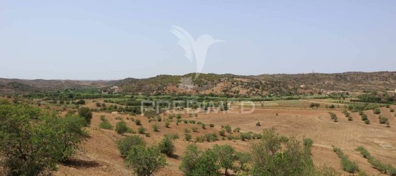 3 غرف نوم قطعة أرض في Azinhal, Portugal رقم 135541 23