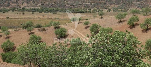 3 غرف نوم قطعة أرض في Azinhal, Portugal رقم 135541 17