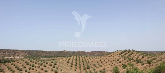 3 غرف نوم قطعة أرض في Azinhal, Portugal رقم 135541 11