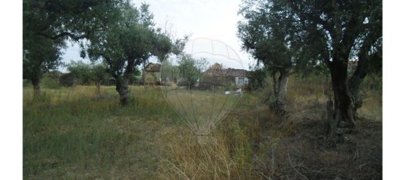 2 bedrooms House in Sao Pedro do Esteval, Portugal No. 34609 13