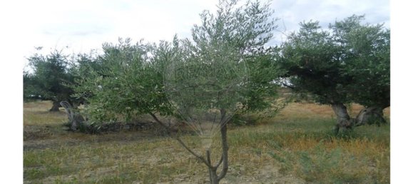 2 bedrooms House in Sao Pedro do Esteval, Portugal No. 34609 11