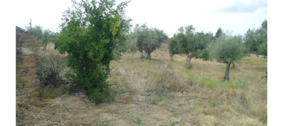 2 bedrooms House in Sao Pedro do Esteval, Portugal No. 34609 8