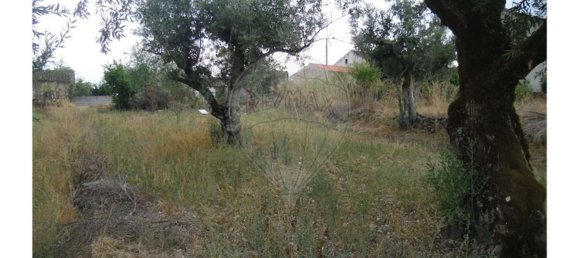 2 bedrooms House in Sao Pedro do Esteval, Portugal No. 34609 12