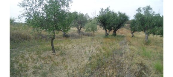 2 bedrooms House in Sao Pedro do Esteval, Portugal No. 34609 9