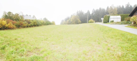 Grundstück in Rohrbach-Berg, Austria 12789m², Nr. 154875 6