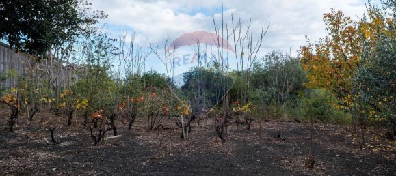 2 bedrooms House in Zafferana Etnea, Italy No. 83406 25