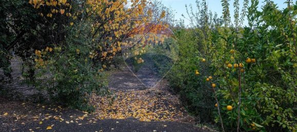 2 bedrooms House in Zafferana Etnea, Italy No. 83406 22