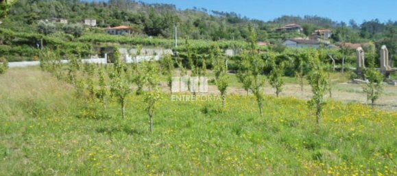 1 Schlafzimmer Villa in Marco de Canaveses, Portugal, Nr. 52099 22