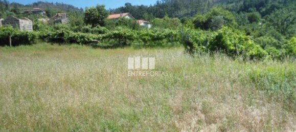 1 Schlafzimmer Villa in Marco de Canaveses, Portugal, Nr. 52099 18