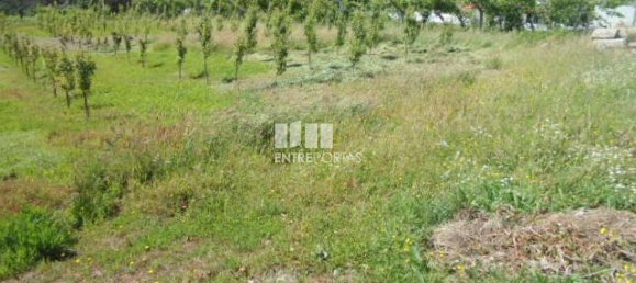 1 Schlafzimmer Villa in Marco de Canaveses, Portugal, Nr. 52099 4