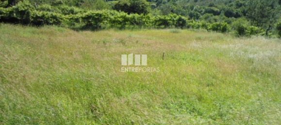 1 Schlafzimmer Villa in Marco de Canaveses, Portugal, Nr. 52099 14