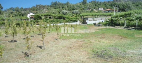 1 Schlafzimmer Villa in Marco de Canaveses, Portugal, Nr. 52099 10